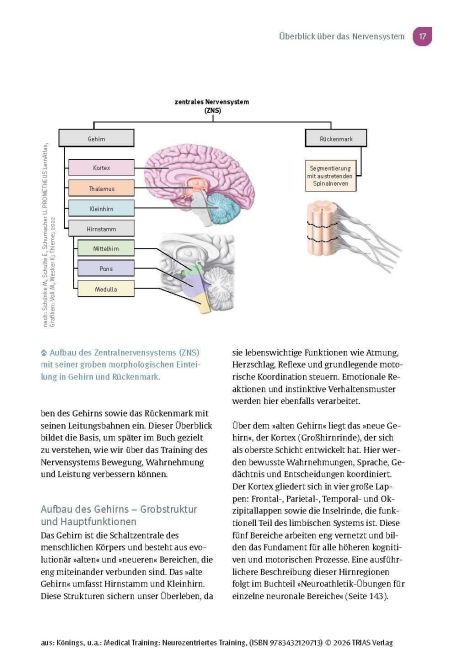 InsideView 11