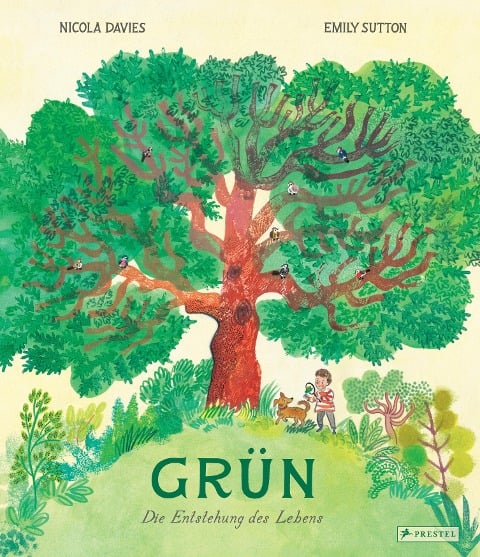 Grün - Nicola Davies, Emily Sutton