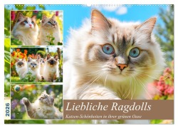Cover-Bild zum Titel 'Liebliche Ragdolls. Katzen-Schönheiten in ihrer grünen Oase (Wandkalender 2026 DIN A2 quer), CALVENDO Monatskalender' von 'Rose Hurley'