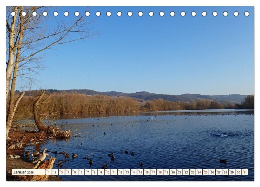 InsideView 6