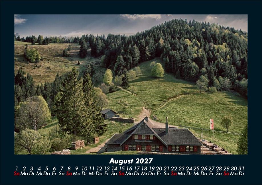 InsideView 12