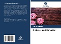 Cover-Bild zum Titel 'Diabetes und Ramadan' von 'Ghania Tiboura'