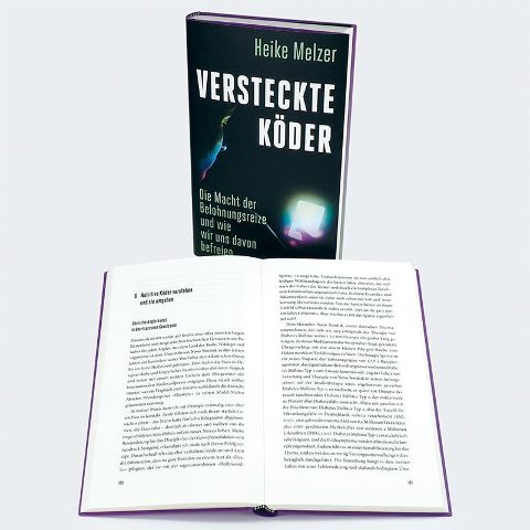 InsideView 5