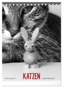 Sonja Heller Katzen in SW-Portraits (Tischkalender 2026 DIN A5 hoch), CALVENDO Monatskalender - Sonja Heller