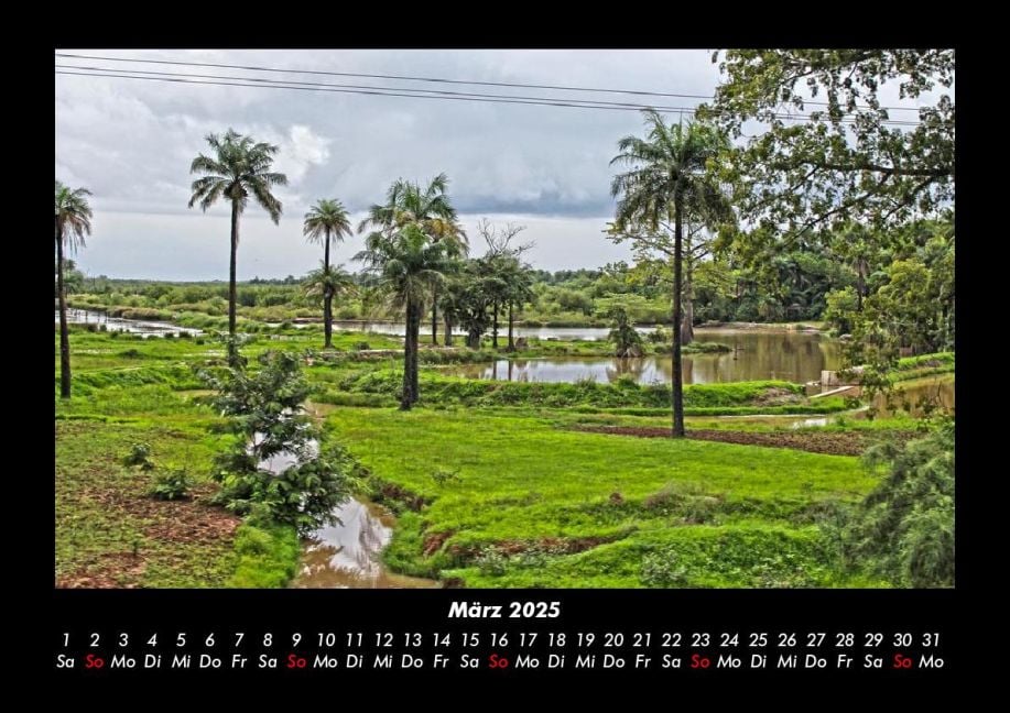 InsideView 7