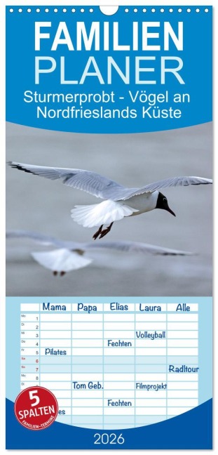 Familienplaner 2026 - Sturmerprobt - Vögel an Nordfrieslands Küste mit 5 Spalten (Wandkalender, 21 x 45 cm) CALVENDO - Gisela Braunleder