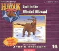 Lost in the Blinded Blizzard - John R. Erickson
