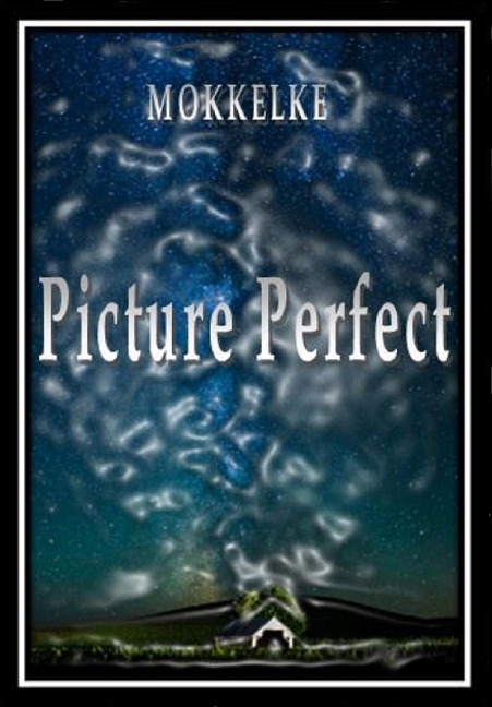Picture Perfect - Mokkelke
