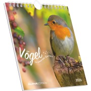 Vögel in unserem Garten 2026 - Postkartenkalender 16x17 cm - 