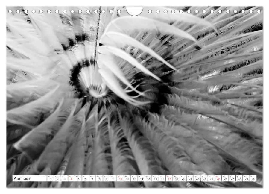 InsideView 9