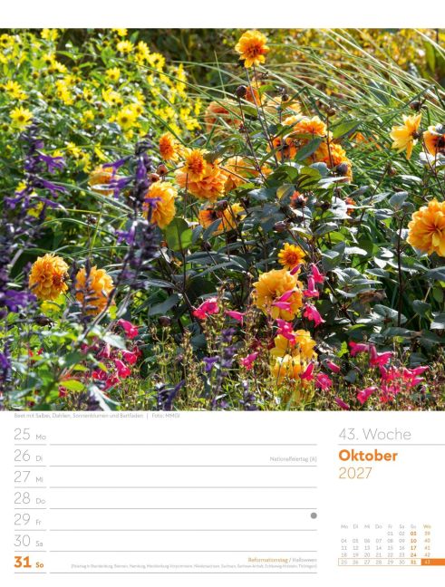 InsideView 47