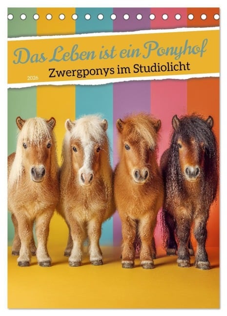 Das Leben ist ein Ponyhof - Zwergponys im Studiolicht (Tischkalender 2026 DIN A5 hoch), CALVENDO Monatskalender - Mb Fotografie