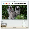 Tierkinder in freier Wildbahn (hochwertiger Premium Wandkalender 2024 DIN A2 quer), Kunstdruck in Hochglanz - Günter Bachmeier