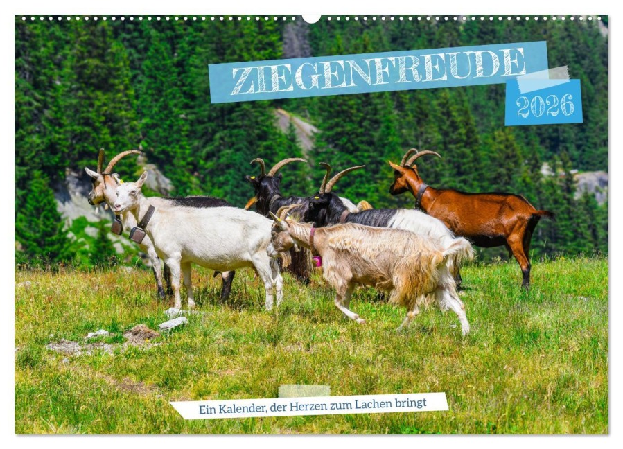 Ziegenfreude (Wandkalender 2026 DIN A2 quer), CALVENDO Monatskalender - RenaldoCaumont RenaldoCaumont