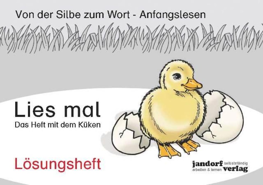 Lies mal - Das Heft mit dem Küken - Peter Wachendorf, Jan Debbrecht