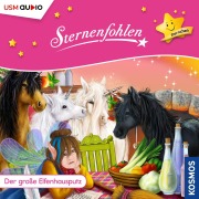 Cover-Bild zum Titel 'Der große Elfenhausputz' von 'Cordula Setsman'