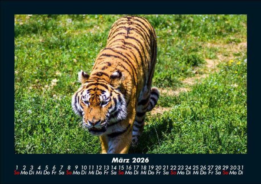 InsideView 7