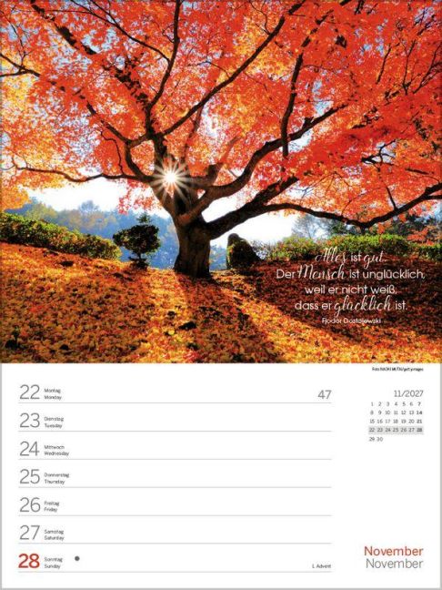 InsideView 12