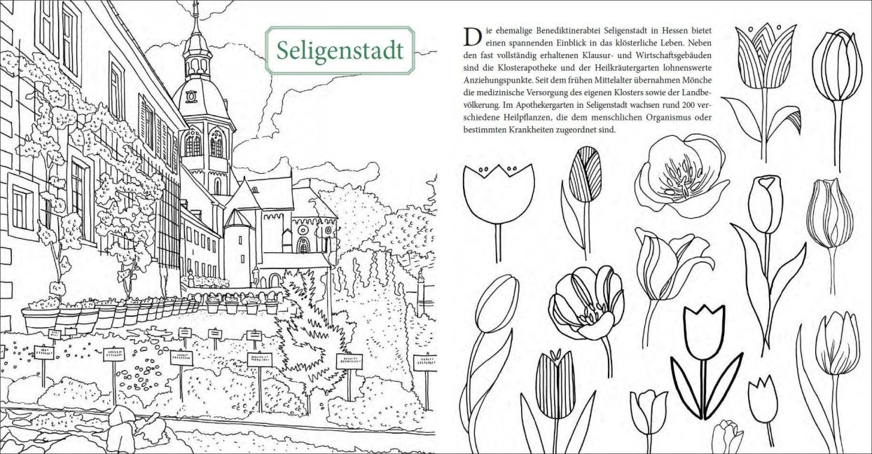 InsideView 11