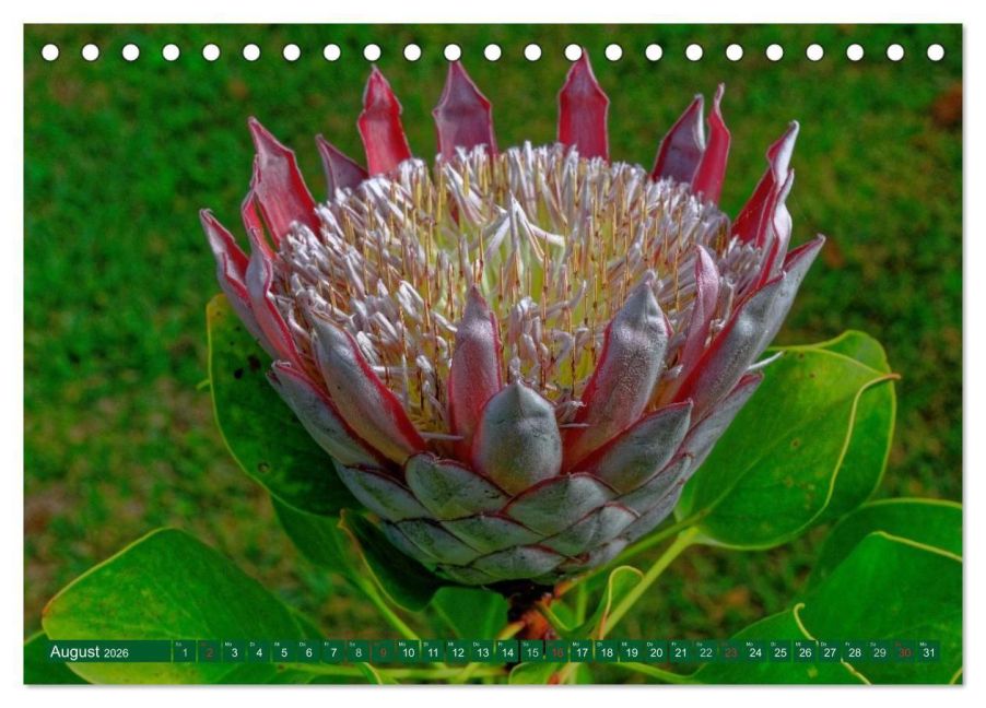 InsideView 13