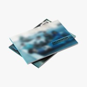 Cover-Bild zum Titel 'Greengreen (Street Version)' von 'Cortis'