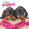 I Love Puppies 2025 12 X 24 Inch Monthly Square Wall Calendar Plastic-Free - Browntrout