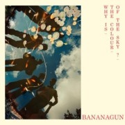 Why is the Colour of the Sky? - Bananagun