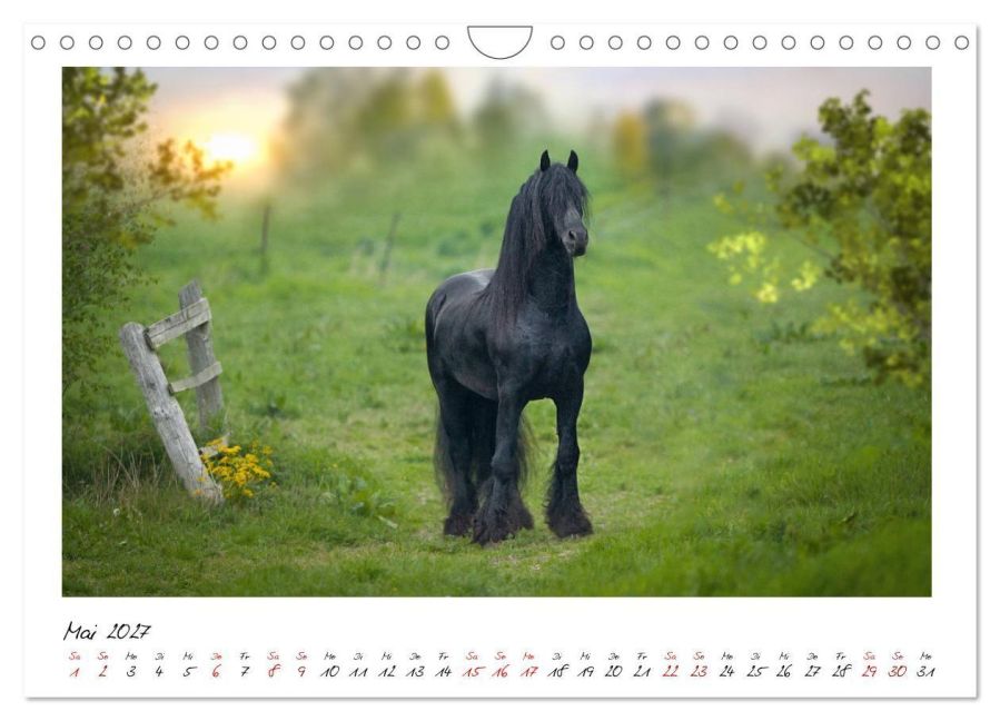 InsideView 10