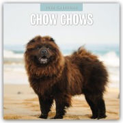 Chow Chows - Chow Chow 2026 - 16-Monatskalender - Robin Red