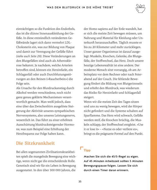 InsideView 38