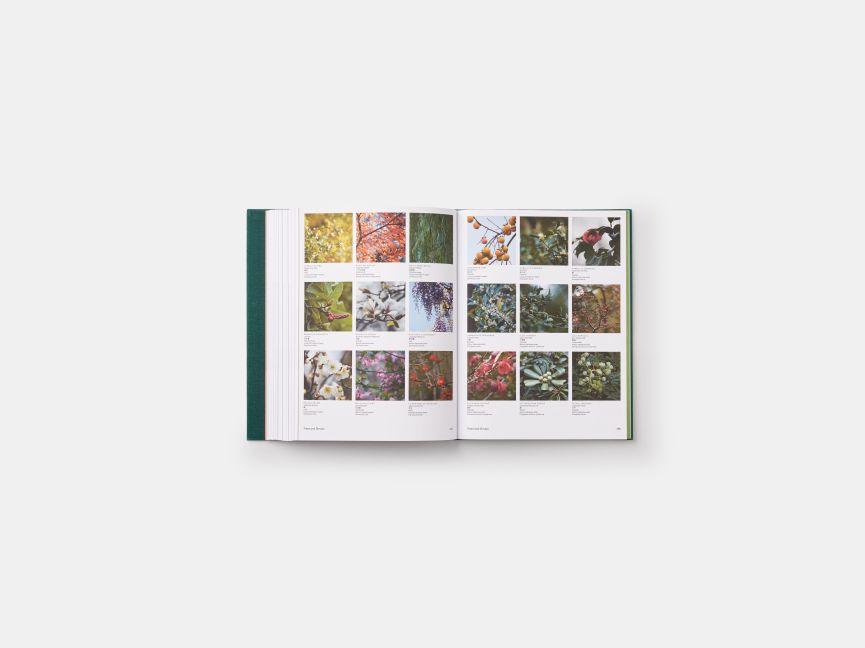 InsideView 12
