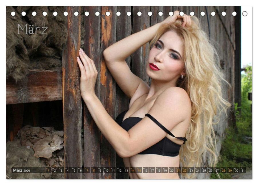 InsideView 8