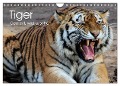 Tiger. Gestreift, wild u. schön (Wandkalender 2024 DIN A4 quer), CALVENDO Monatskalender - Elisabeth Stanzer