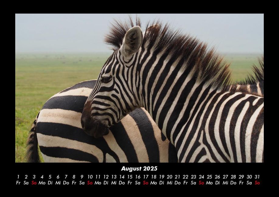 InsideView 12