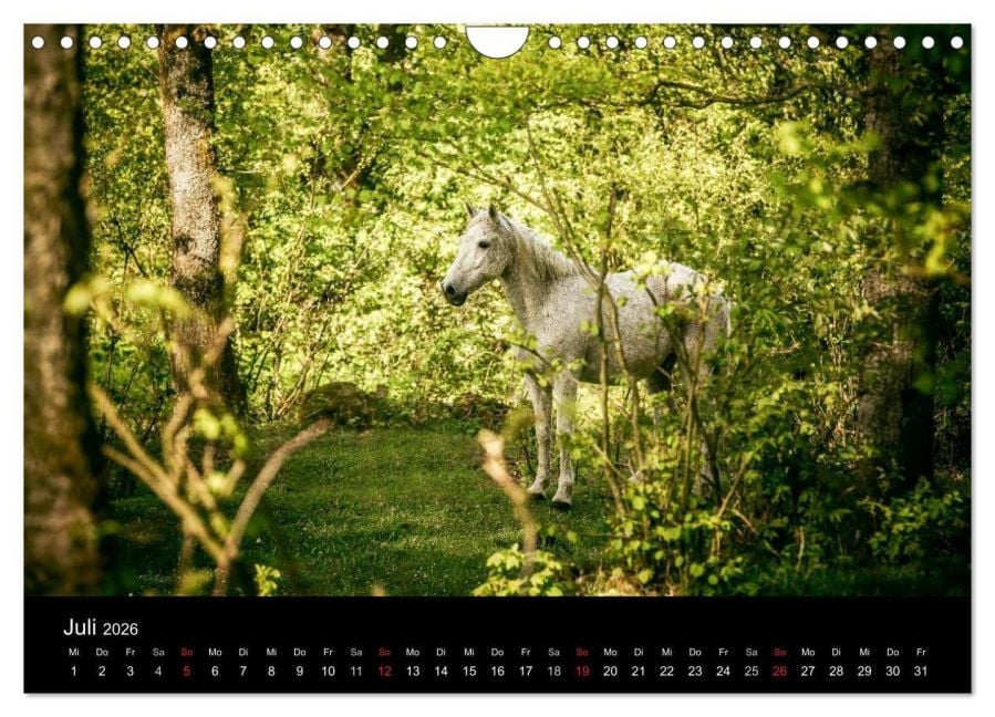 InsideView 12