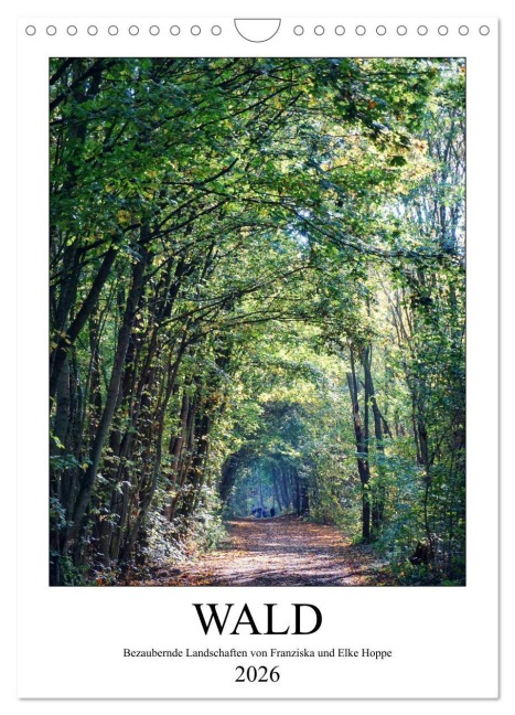 Wald - bezaubernde Landschaften (Wandkalender 2026 DIN A4 hoch), CALVENDO Monatskalender - Elke Hoppe Hoppe
