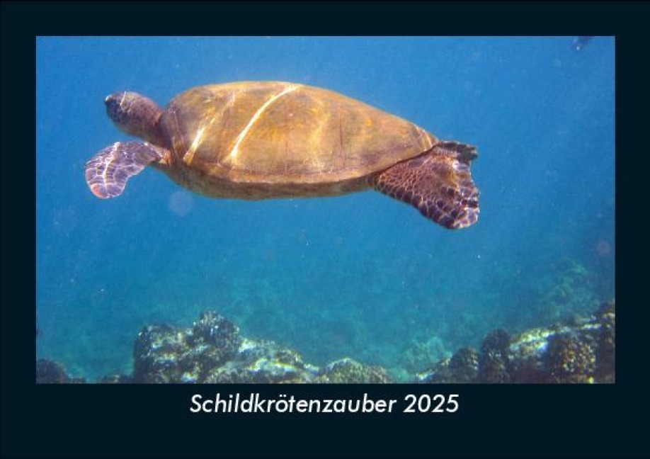 Schildkrötenzauber 2025 Fotokalender DIN A5 - Tobias Becker
