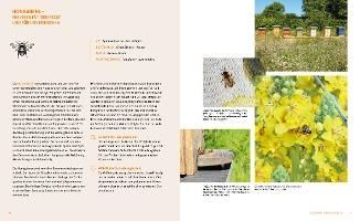 InsideView 6