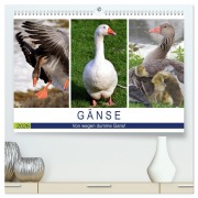 Cover-Bild zum Titel 'Gänse. Von wegen dumme Gans! (hochwertiger Premium Wandkalender 2026 DIN A2 quer), Kunstdruck in Hochglanz' von 'Rose Hurley'