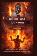 Cover-Bild zum Titel 'Ich sah Feuer vom Himmel' von 'Isa El-buba, Ambassador Monday O. Ogbe, Zacharias Godseagle'