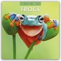 Frogs - Frosch - Frösche 2025 - 16-Monatskalender - 