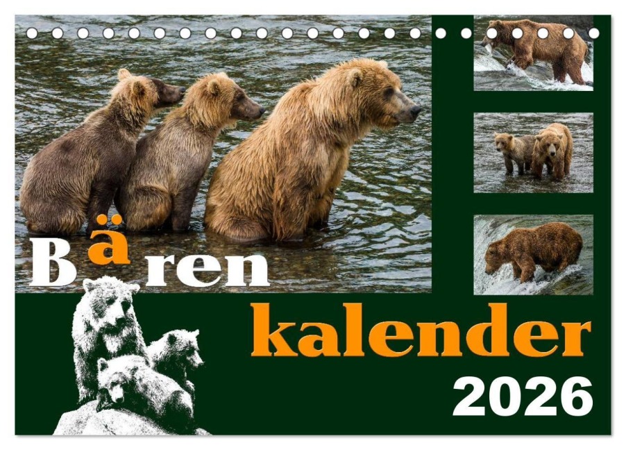 Bärenkalender (Tischkalender 2026 DIN A5 quer), CALVENDO Monatskalender - Max Steinwald