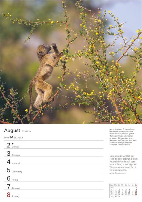 InsideView 12