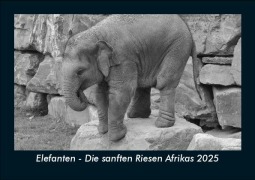Cover-Bild zum Titel 'Elefanten - Die sanften Riesen Afrikas 2025 Fotokalender DIN A5' von 'Tobias Becker'