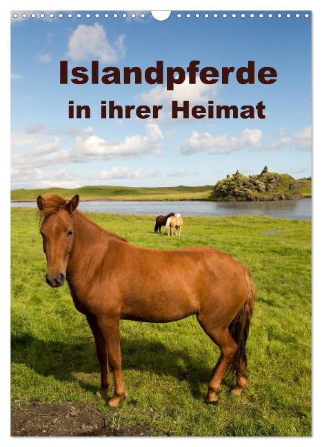 Islandpferde in ihrer Heimat (Wandkalender 2025 DIN A3 hoch), CALVENDO Monatskalender - Winfried Rusch