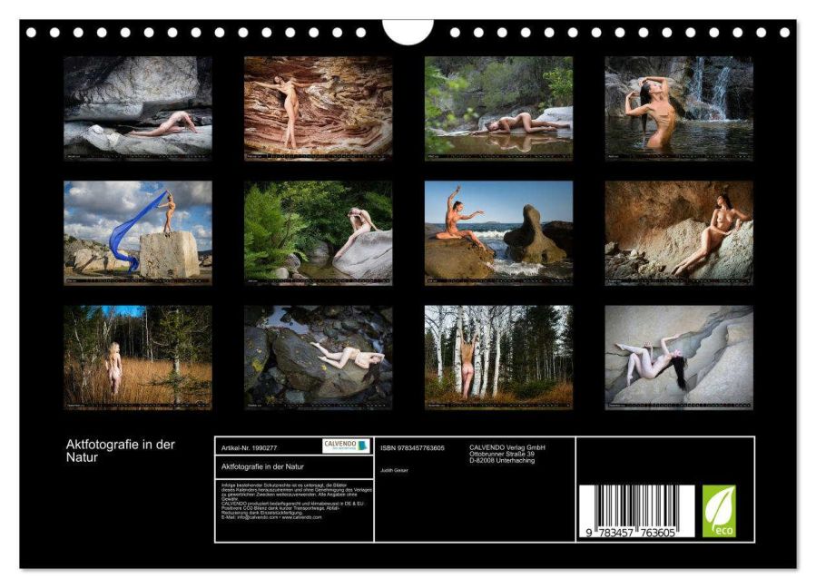 InsideView 5