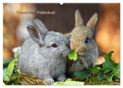 Cover-Bild zum Titel 'Flauschige Fellknäuel (Wandkalender 2026 DIN A2 quer), CALVENDO Monatskalender' von 'Tina Olbrich'