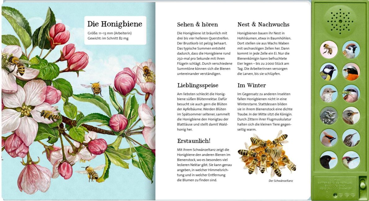 InsideView 5