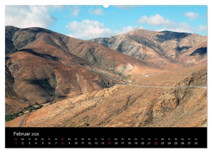 InsideView 7