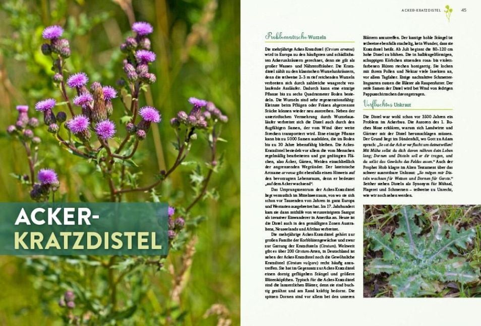 InsideView 5